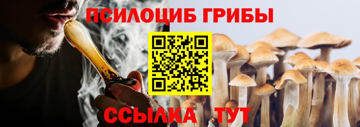 Псилоцибиновые грибы Psilocybe  Вход с VPN  купить закладку  Ейск 